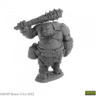 Ogre Guard (07063)