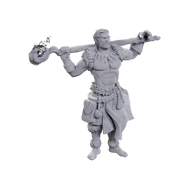 Archdruid and Martial Arts Adept - D&D Nolzur's Minis