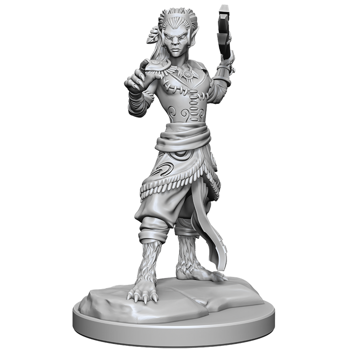 Shifter Fighter She/Her - D&D Nolzur’s Minis