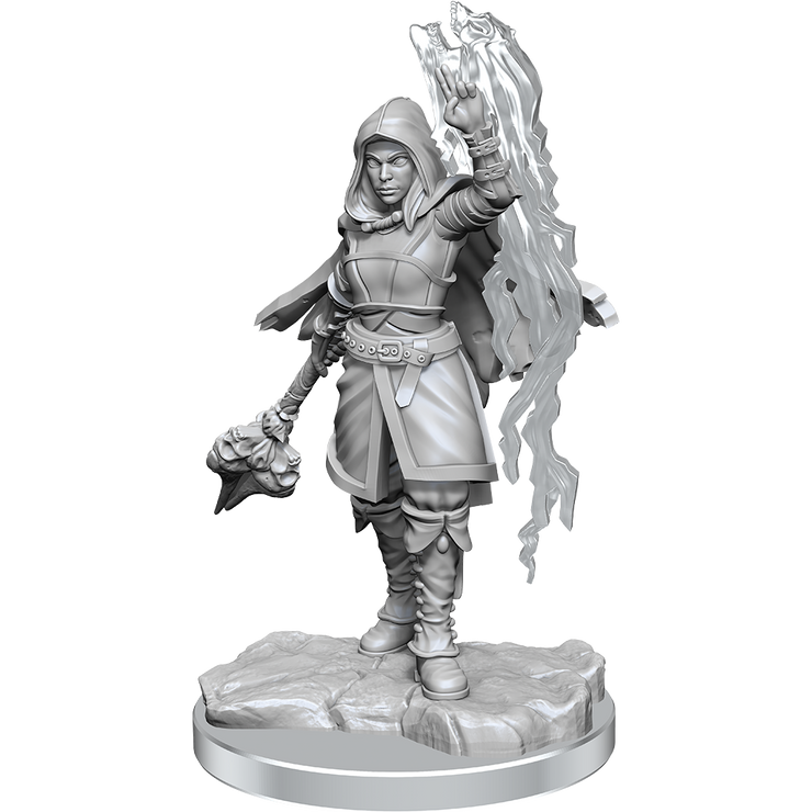 Half-Elf Warlock She/Her - D&D Nolzur’s Minis