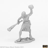 Stone Giant Guard (44085)