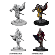 Vampires - D&D Nolzur's Minis