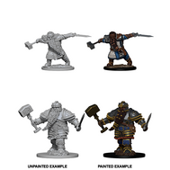 Dwarf Fighter (#1) He/Him - D&D Nolzur's Minis
