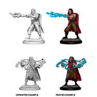 Human Sorcerer (#1) He/Him - D&D Nolzur’s Minis