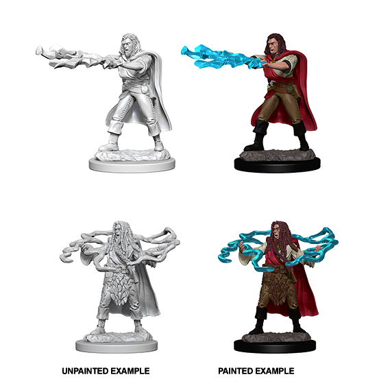 Human Sorcerer (#1) He/Him - D&D Nolzur’s Minis