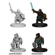 Dwarf Paladin She/Her - D&D Nolzur's Minis