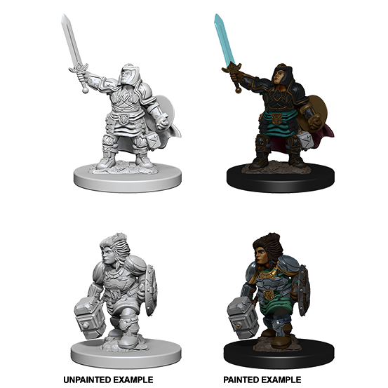 Dwarf Paladin She/Her - D&D Nolzur's Minis