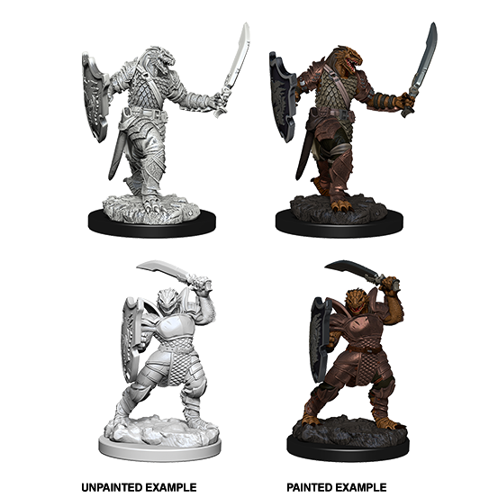 Dragonborn Paladin She/Her - D&D Nolzur’s Minis