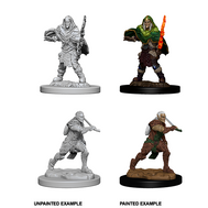 Elf Fighter He/Him - D&D Nolzur’s Minis