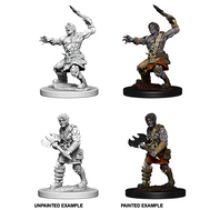 Nameless One - D&D Nolzur’s Minis