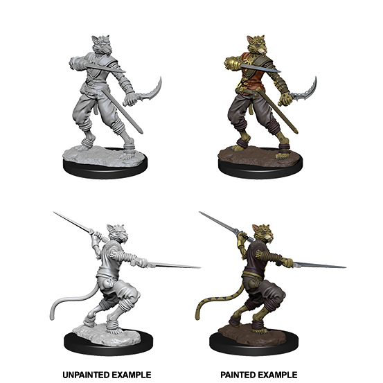 Tabaxi Rogue He/Him - D&D Nolzur’s Minis