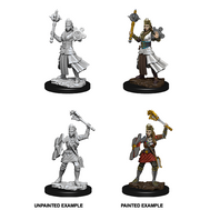 Human Cleric He/Him - D&D Nolzur’s Minis