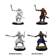 Bandits - D&D Nolzur’s Minis