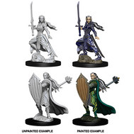 Elf Paladin She/Her - D&D Nolzur’s Minis