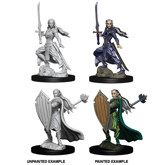 Elf Paladin She/Her - D&D Nolzur’s Minis