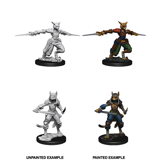 Tabaxi Rogue She/Her - D&D Nolzur’s Minis