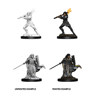 Human Paladin She/Her - D&D Nolzur’s Minis