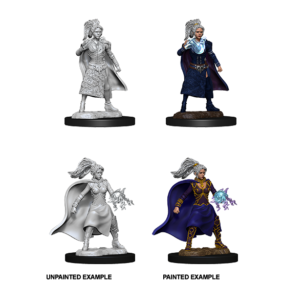 Human Sorcerer  She/Her - D&D Nolzur’s Minis