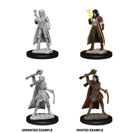 Elf Cleric She/Her - D&D Nolzur’s Minis
