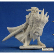 Anti Paladin (89032)