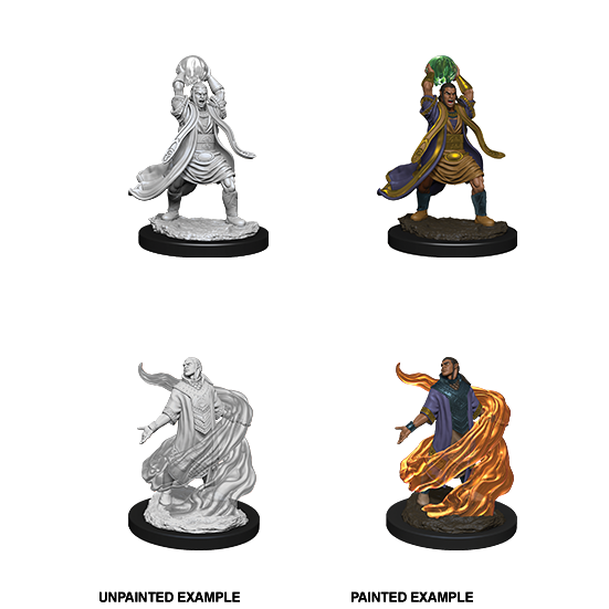 Elf Sorcerer He/Him - D&D Nolzur’s Minis
