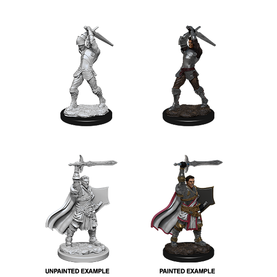 Human Paladin (#2) He/Him - D&D Nolzur’s Minis