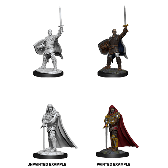 Human Paladin (#3) He/Him - D&D Nolzur’s Minis