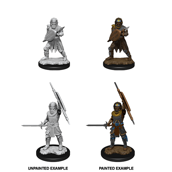 Human Fighter (#2) He/Him - D&D Nolzur’s Minis