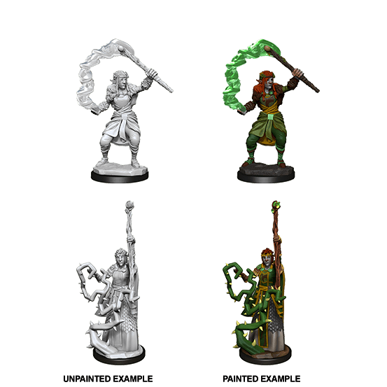 Firbolg Druid She/Her - D&D Nolzur’s Minis