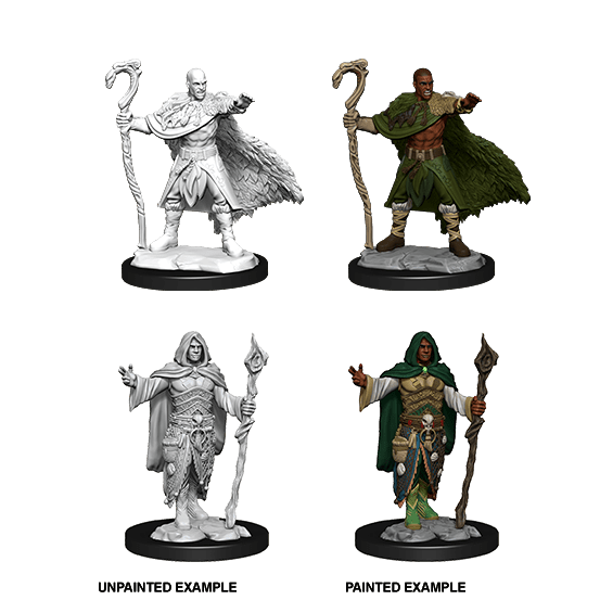 Human Druid (#3) He/Him - D&D Nolzur's Minis