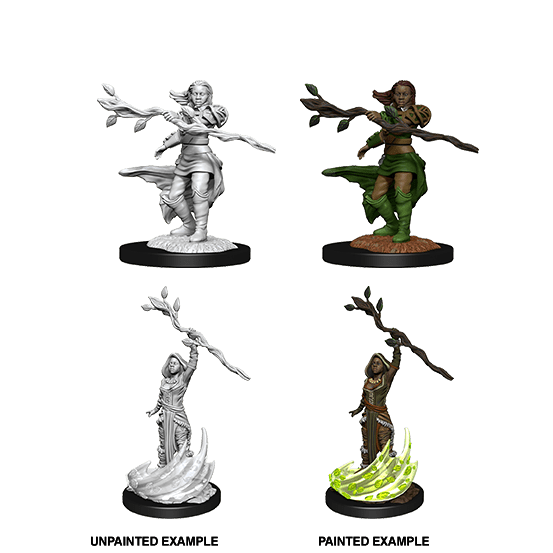 Human Druid (#3) She/Her - D&D Nolzur's Minis