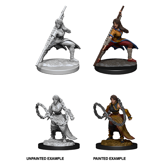 Human Monk (#3) She/Her - D&D Nolzur's Minis