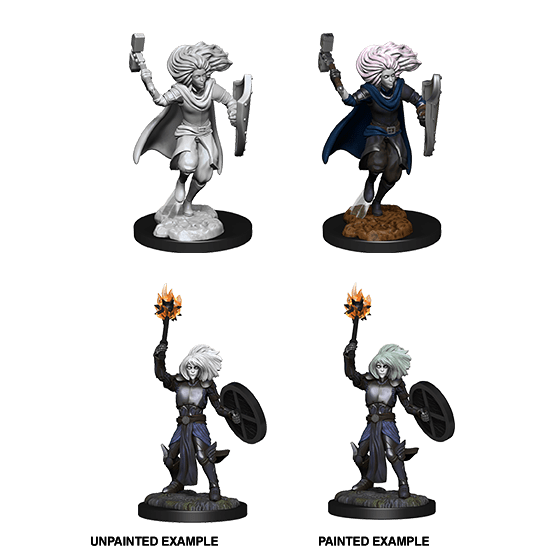 Changeling Cleric - D&D Nolzur's Minis