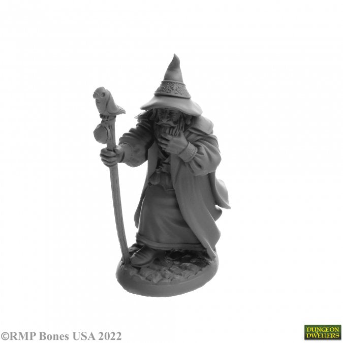 Landol Griwsold, Human Wizard (07068)