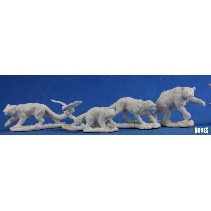 Companion Animals (77216)