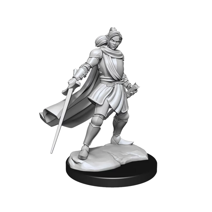 Half-Elf Xhorhas Paladin She/Her  - Critical Role Minis