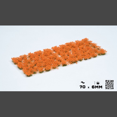 Flowers: Orange (Wild)