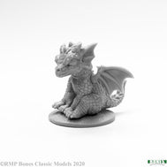 Scheming Rocky (77920)